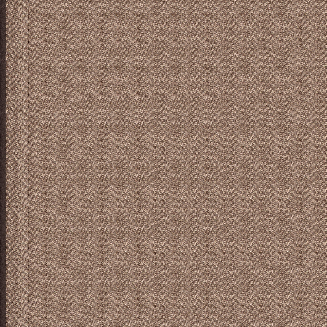Handwoven Brown Banarasi Organza Silk Saree - 2401T009385DSC