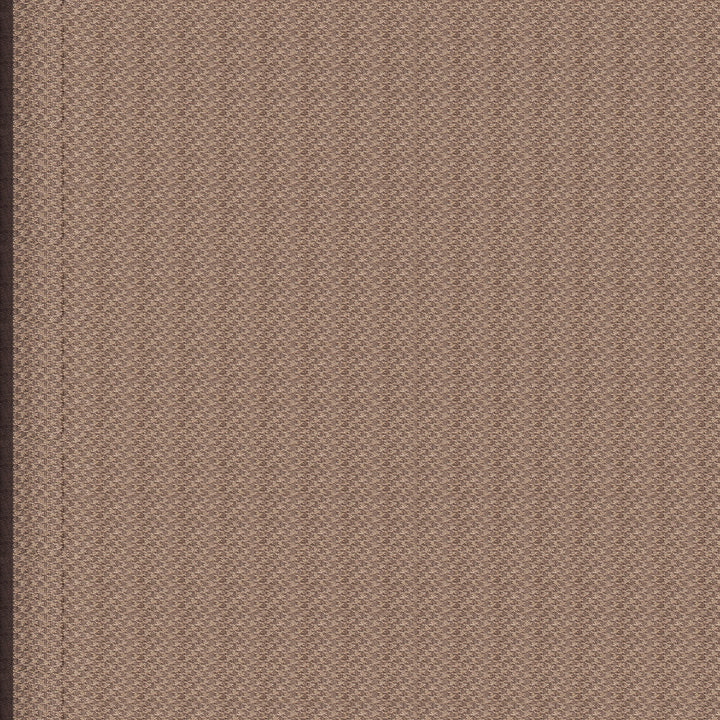 Handwoven Brown Banarasi Organza Silk Saree - 2401T009385DSC