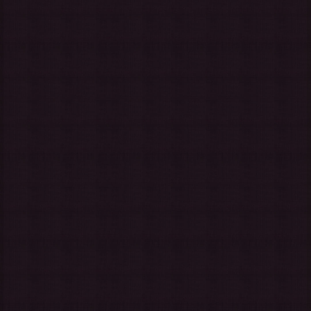 Handwoven Borderless Purple Kanjivaram Silk Saree - 2732T013063DSC