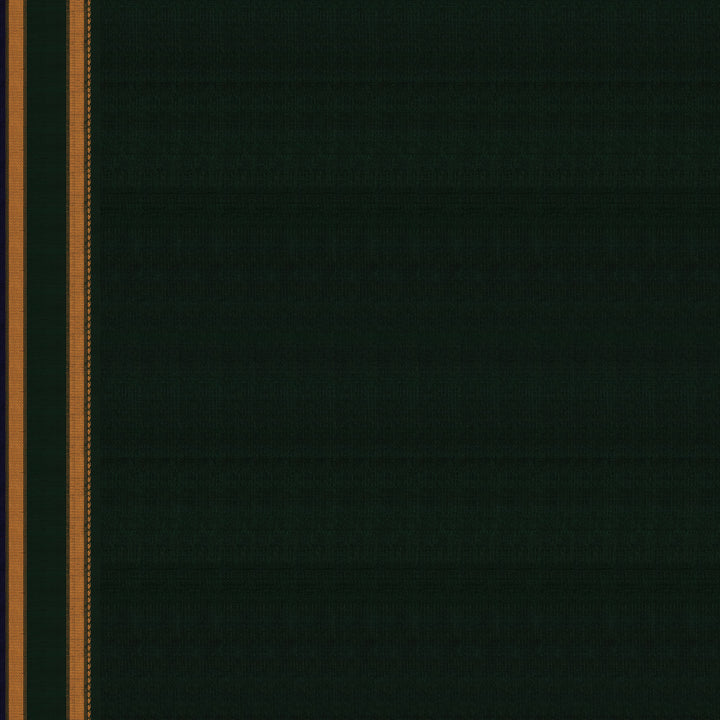 Blouse of Handwoven Gadwal Silk Saree