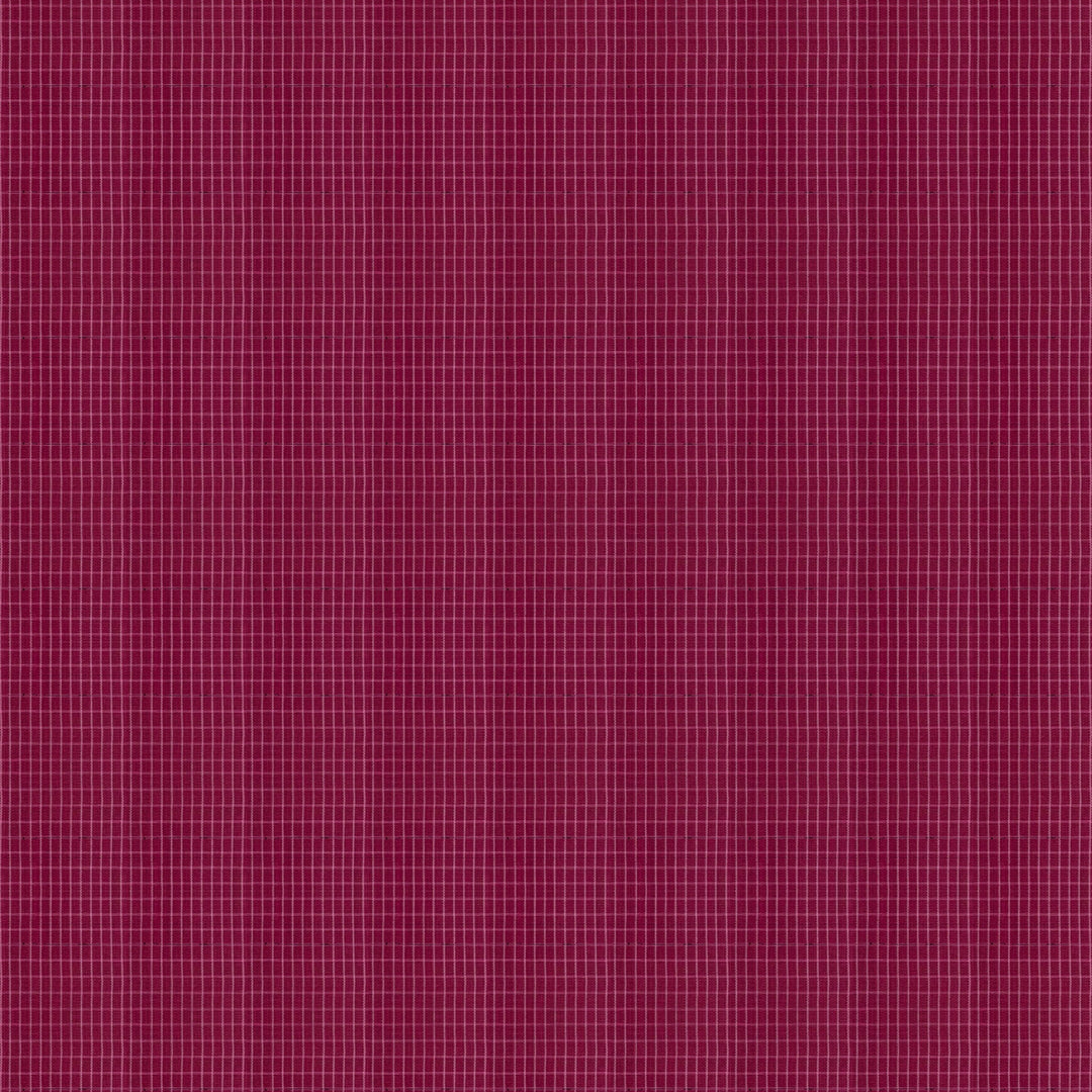 body design of  Handwoven Cotton Ikat Saree 