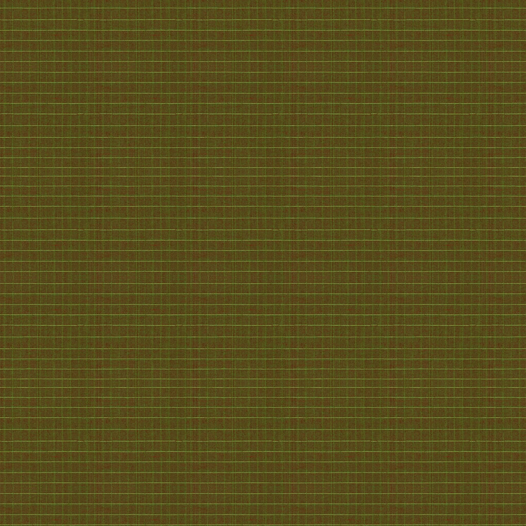 Body design of Handwoven Gadwal Silk Cotton Saree