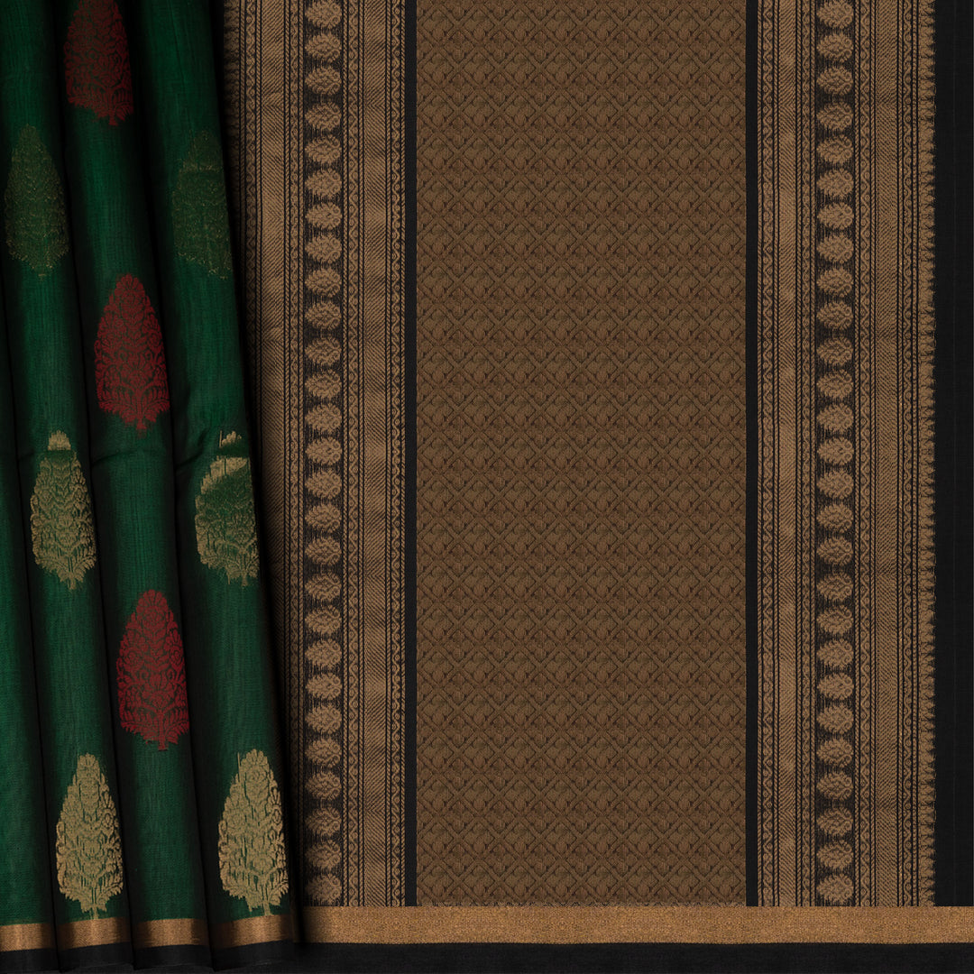 Pleats/body of Handwoven Silk Cotton Saree