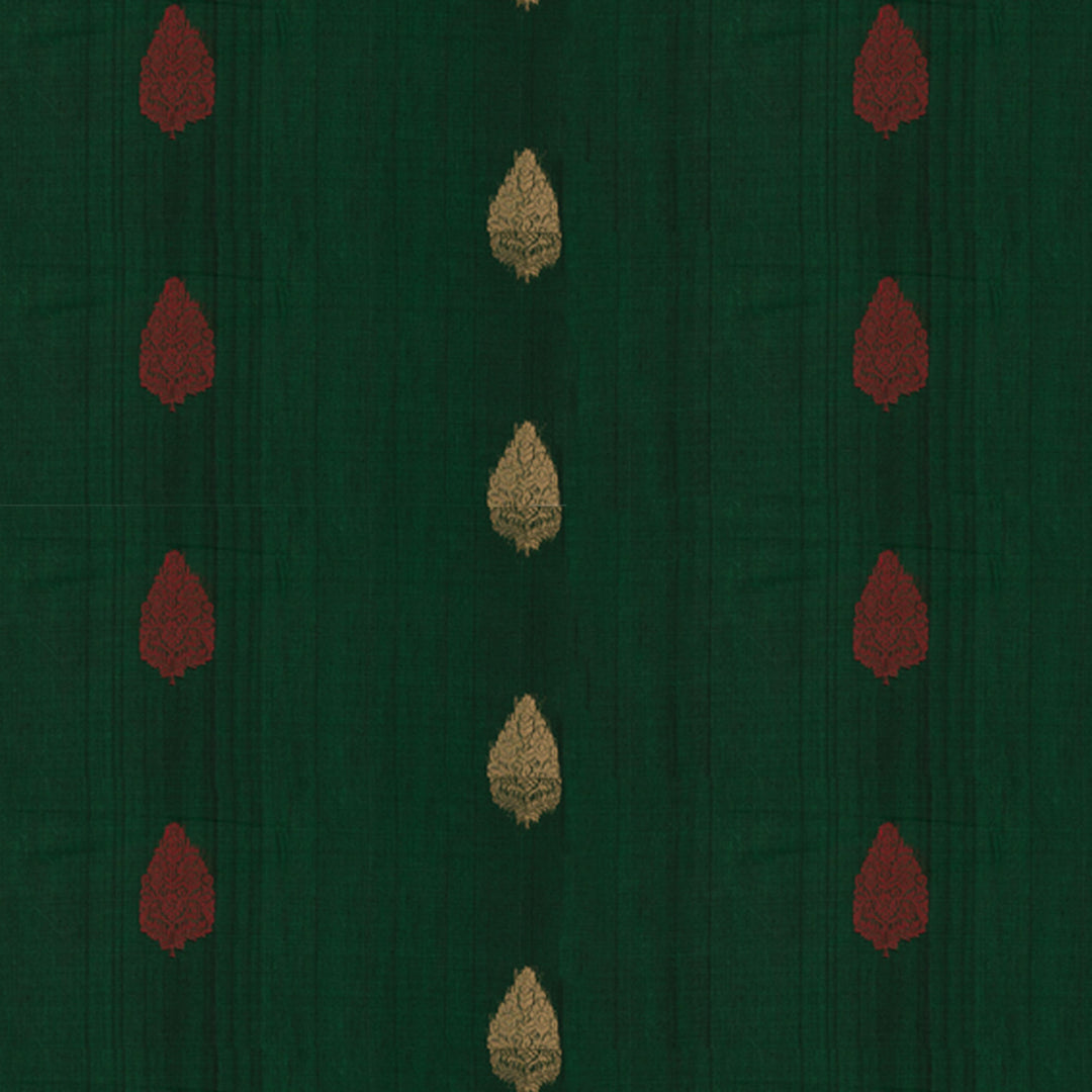 Body Design of  Handwoven Silk Cotton Saree