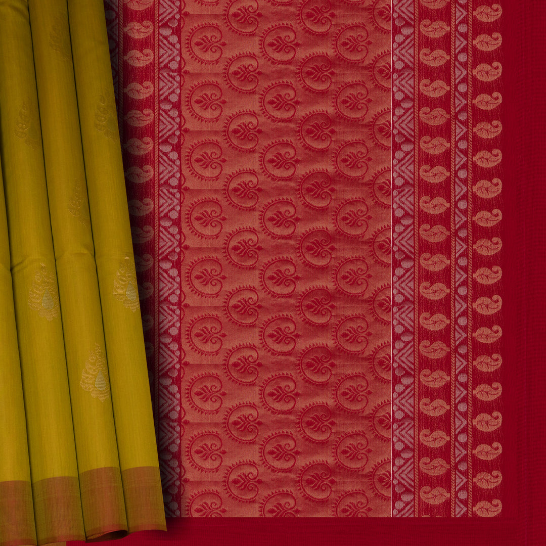 Pleats/body of Handwoven Silk Cotton Saree
