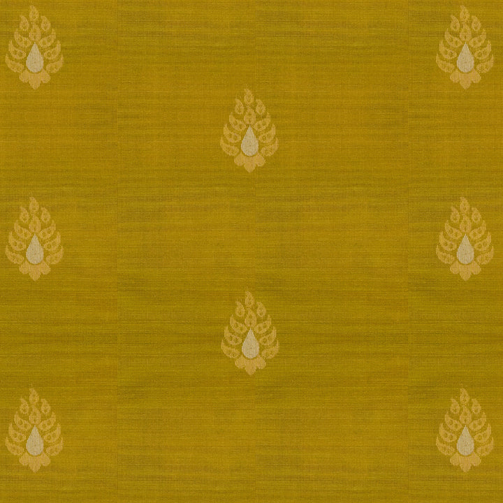Body design of Handwoven Silk Cotton Saree