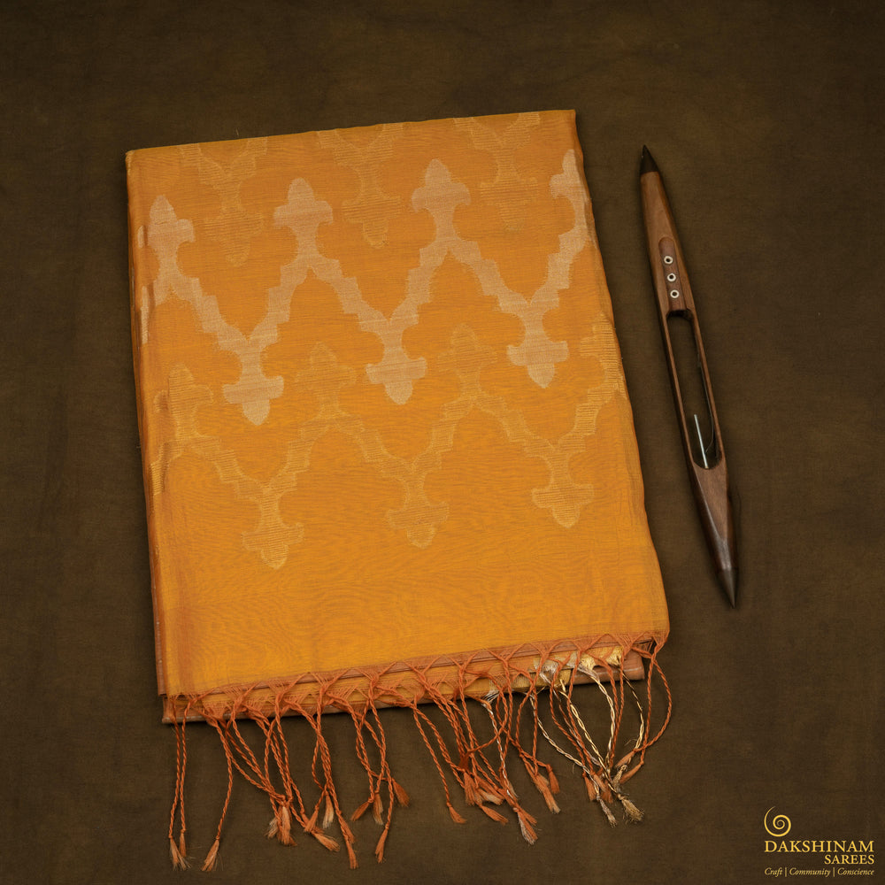 Folded Handwoven Silk Cotton Saree 