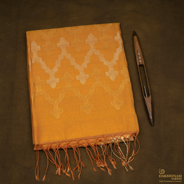 Folded Handwoven Silk Cotton Saree 