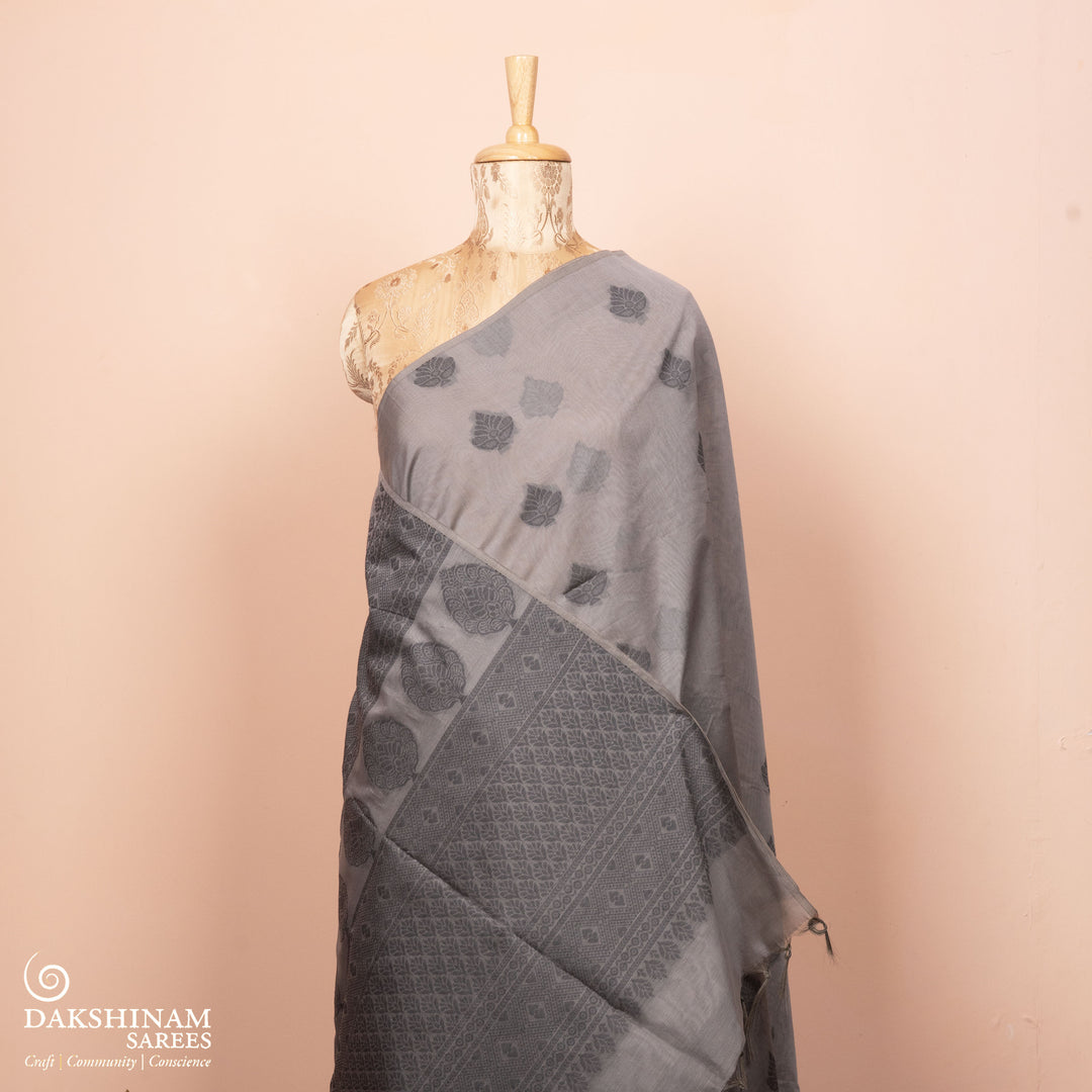 Pleats/body of  Handwoven South Cotton Saree 