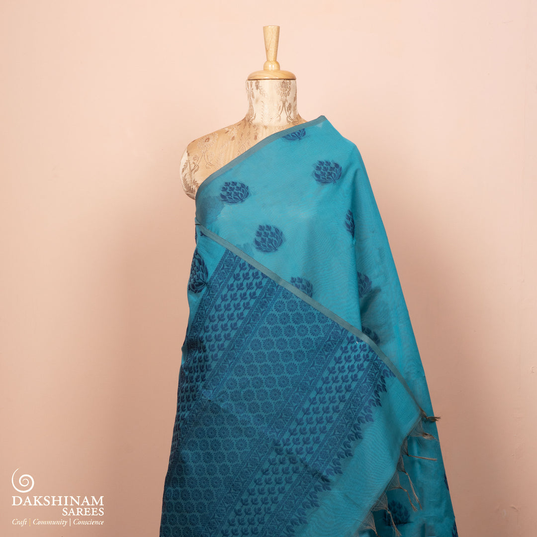Pleats/body of  Handwoven South Cotton Saree