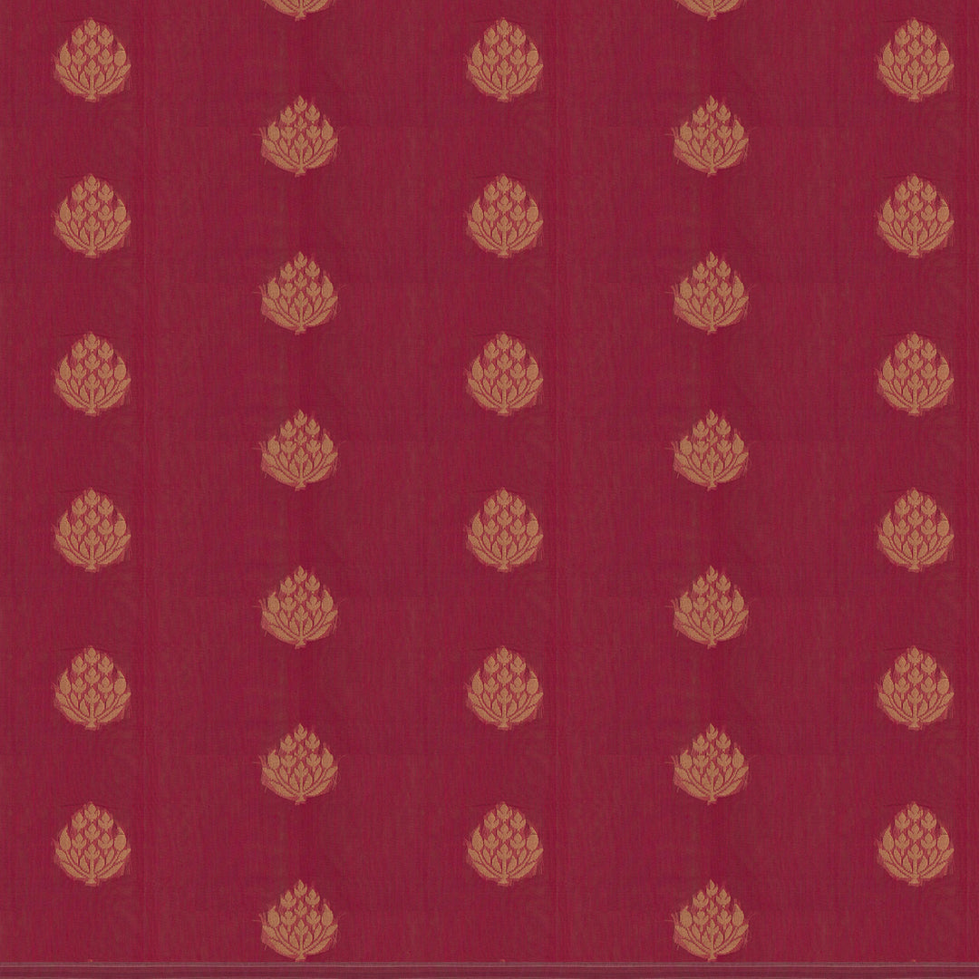 Body design of Handwoven South Cotton Saree