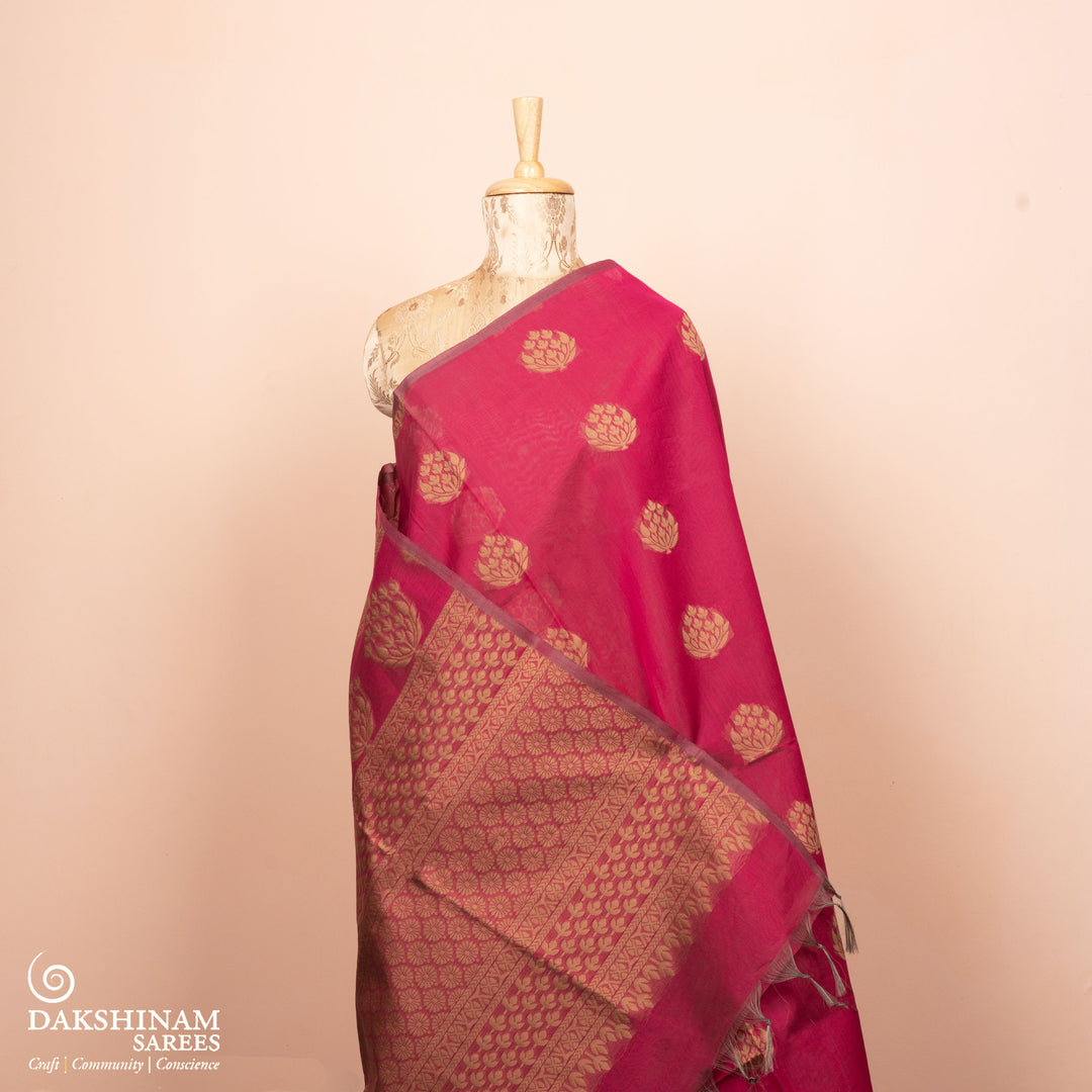 Pleats/body of Handwoven South Cotton Saree