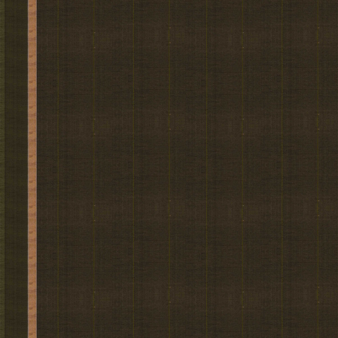 Blouse of  Handwoven  Silk Cotton Saree