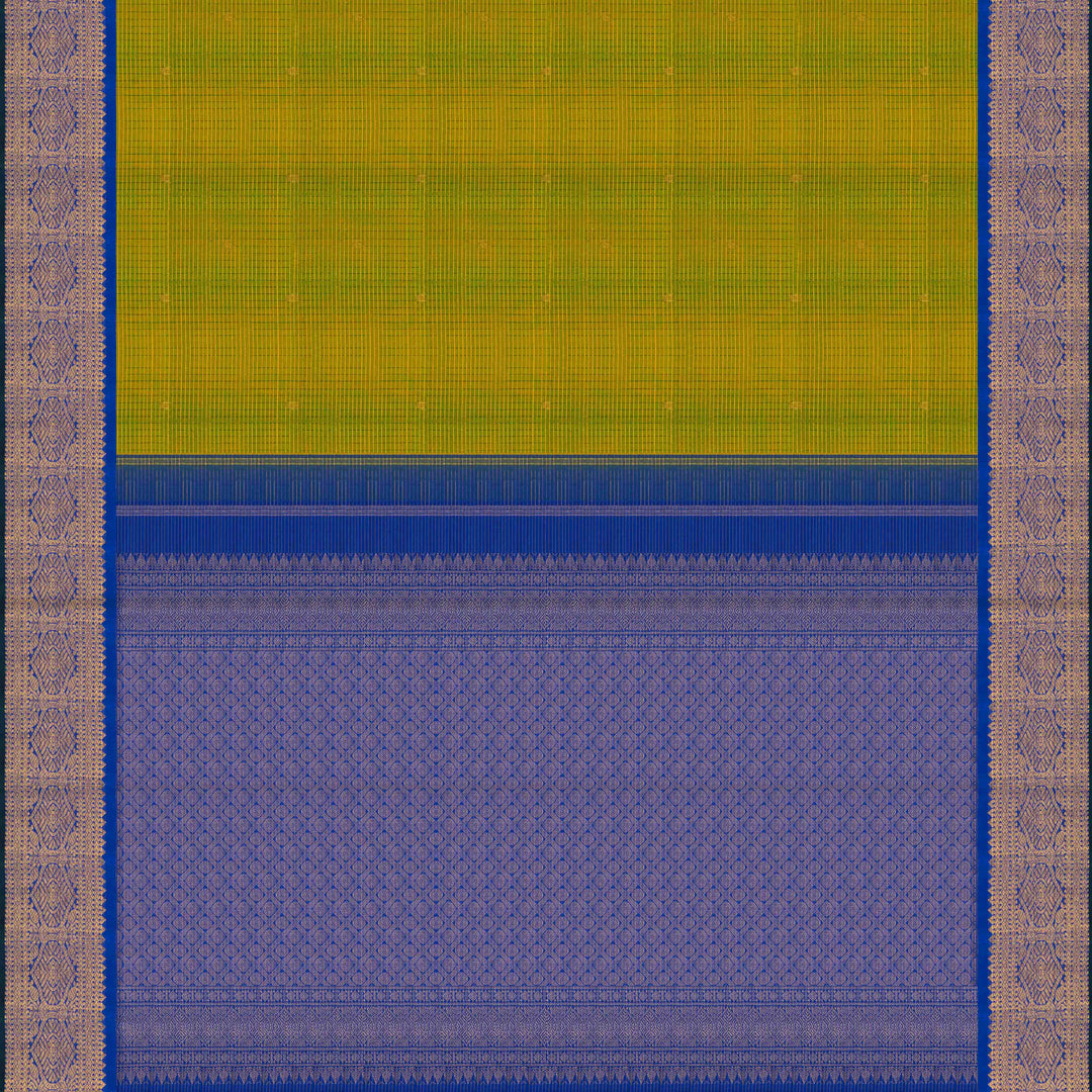 Body pallu Closeup view of a Light green checked Kanjivaram silk saree with royal blue korvai border.