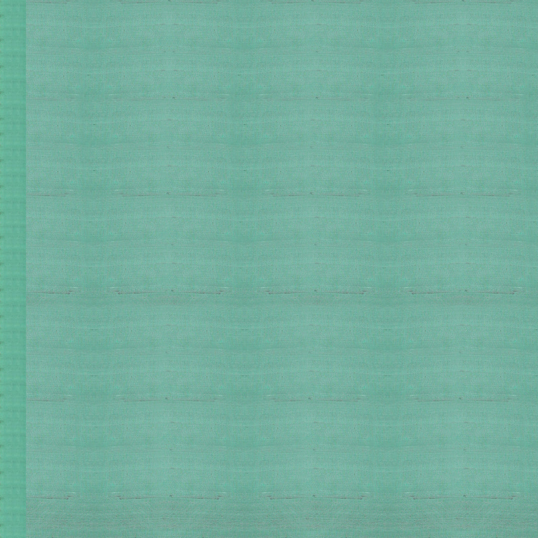 Handwoven Green Soft Silk Saree - 1779T009267DSC