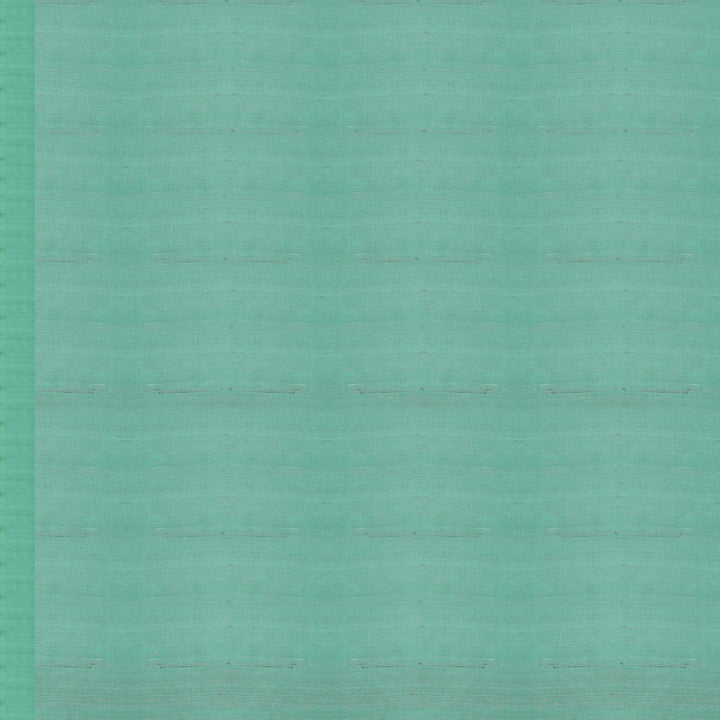 Handwoven Green Soft Silk Saree - 1779T009267DSC