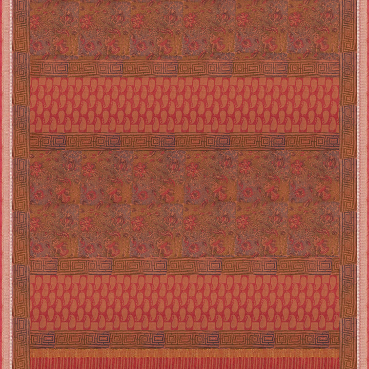 Handwoven Multicolour Cotton Saree - 1797T008395DSC