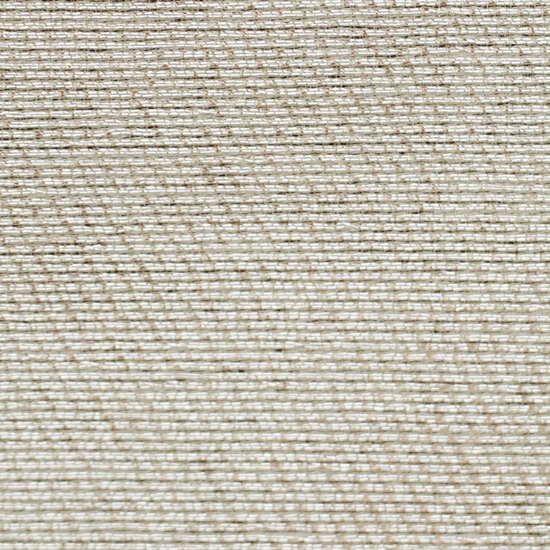 Handwoven Silver Raw silk Fabric - 34T006218DSC