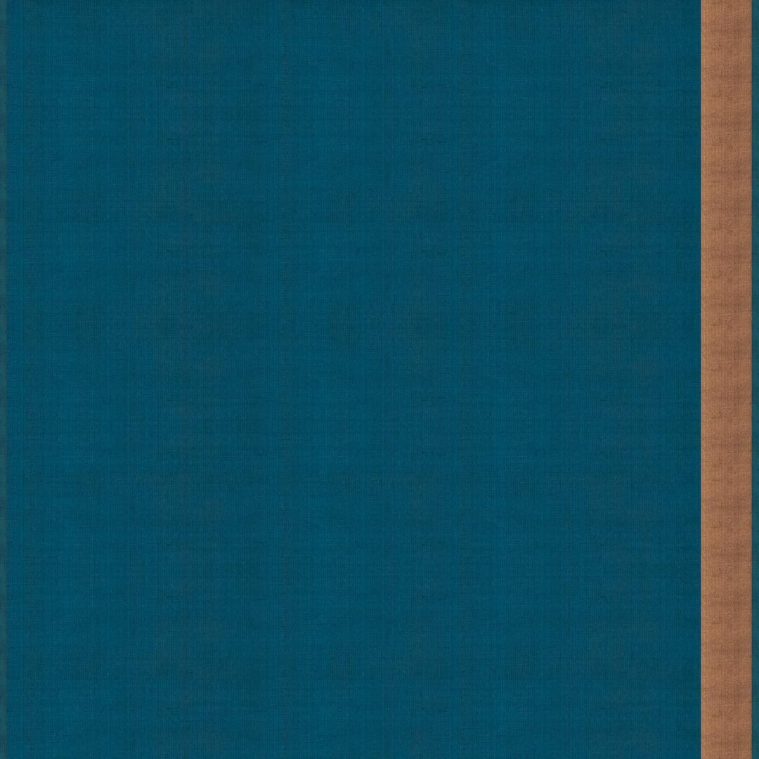 Handwoven Blue Soft Silk Saree - 2082T010528DSC