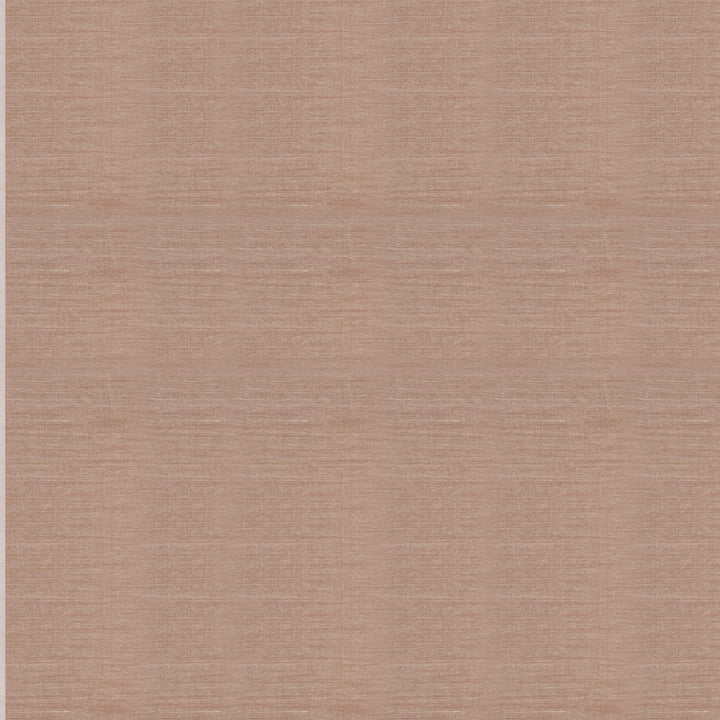 Handwoven Beige Matka Tissue Silk Saree - 2148N026996DSC