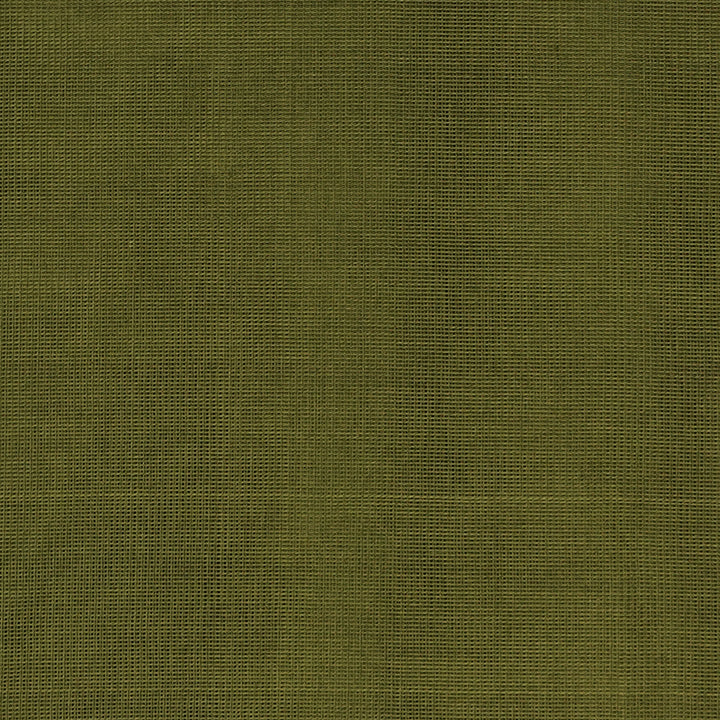 Handwoven Green with Purple Kanchipuram Silk Cotton Saree - 2186T010884DSC