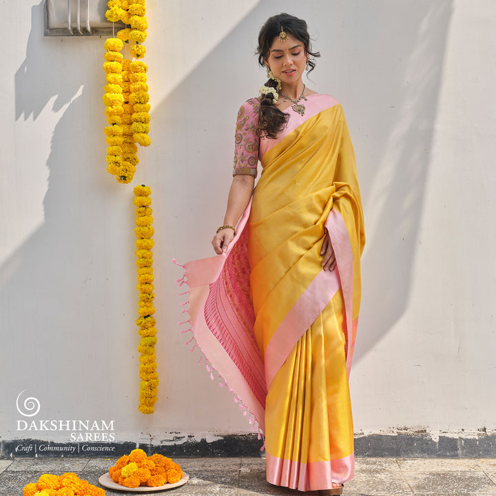 Yellow soft silk saree with self textured body and baby pink pallu with floral vine and lotus zari design
